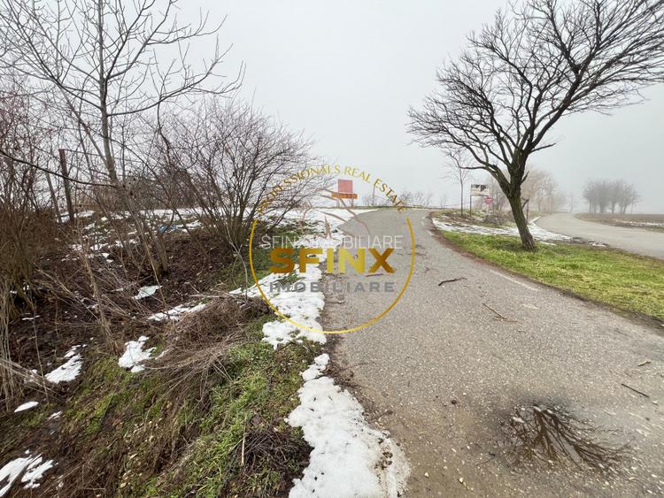 LAC PRIVAT DE PESCUIT PREMIUM 12.6 HA– CĂLINEȘTI, JUD. ARGEȘ - 9