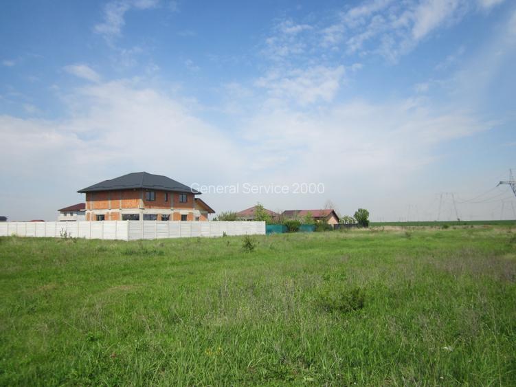 Domnesti-Crengutei - 7