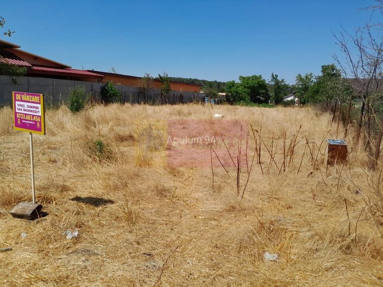 Teisori (Giurgiu) - teren 1800 mp de vanzare - 7