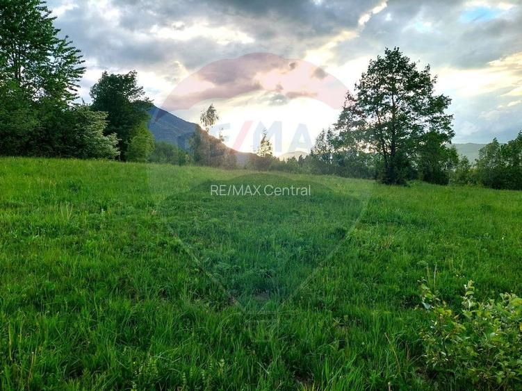 Teren Bran-Zarnesti - Tohanita, 4223mp - 11