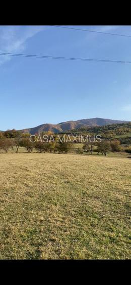 O oportunitate care îți atinge sufletul: Teren de vis la ieșirea din Rășinari - 4