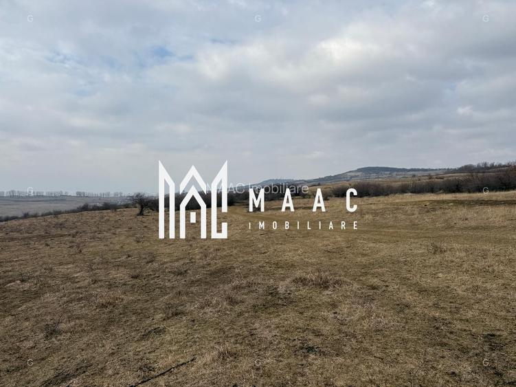 Teren 6,75 ha | Panoramă și Acces Excelent | Dealul Daii - 6