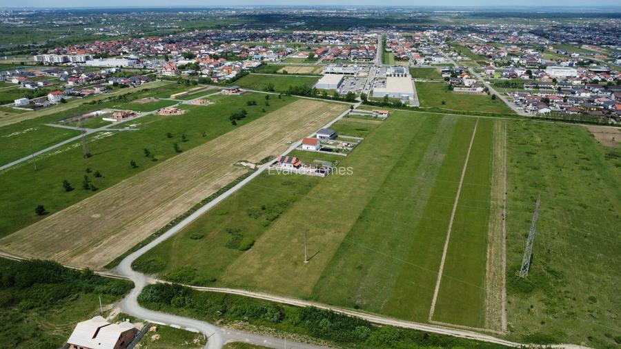 Oportunitate de investitie | Teren extravilan | Mosnita Noua - 2