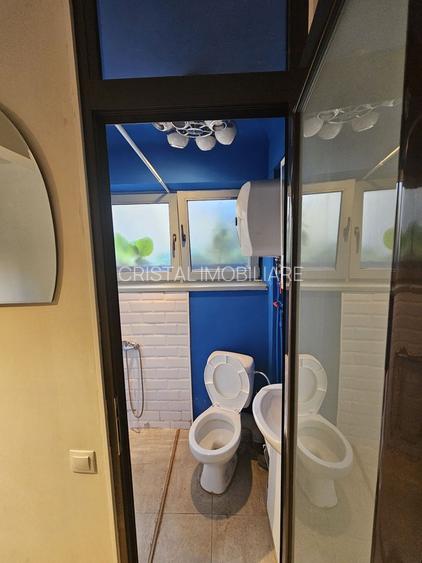 Apartament 1 camera, pachet 3 garsoniere, mobilat, renovat -  Ultracentral - 10