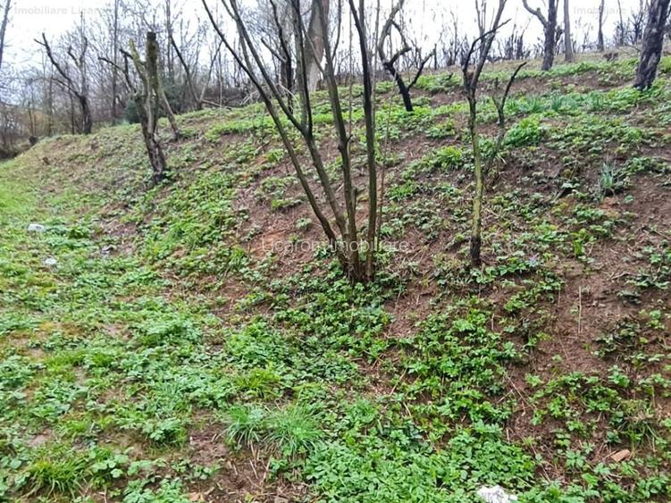 Teren intravilan1291 mp Schei Str Nisipului iesire la Drumul Poienii - 9