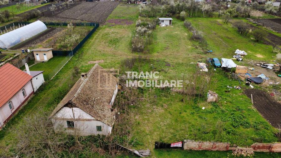 Teren intravilan 3.593 mp de vânzare în Parța - 5