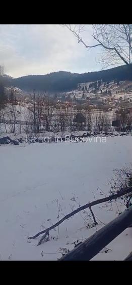 Vindem teren 8179 mp langa padure - 6