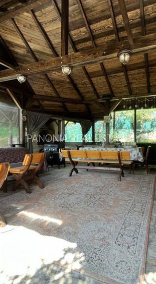 Conacul Mura in Baile Olanesti, O Bijuterie Naturala - 19