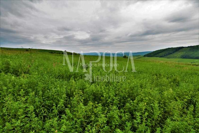 Teren extravilan pentru constructii de vanzare in Popesti - 2