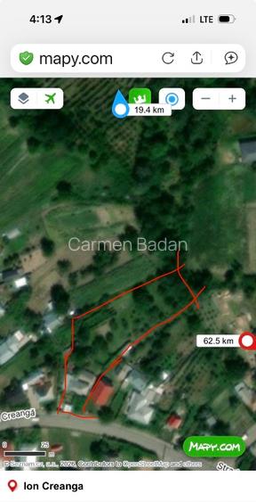 Casa batrineasca cu approx 2800 mp teren, vie, pomi fructiferi, zmeura, coacăze  - 13