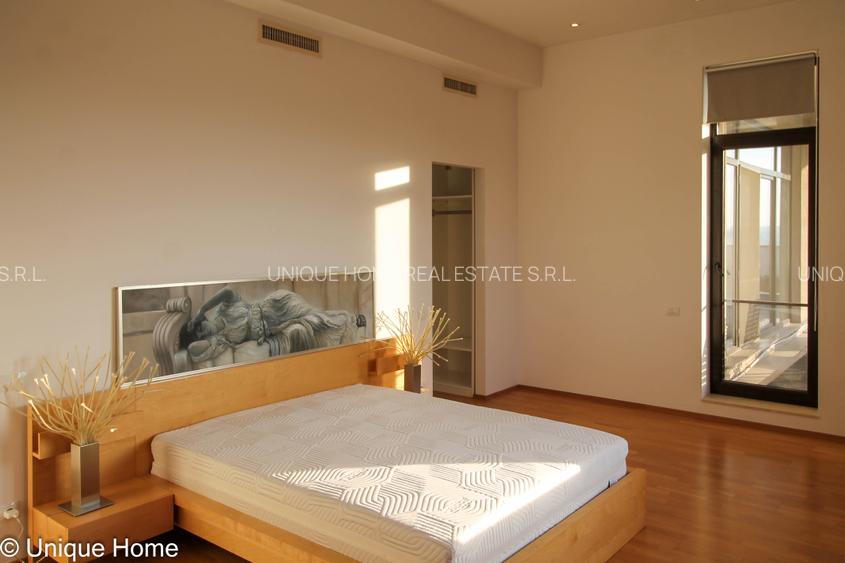 Iancu Nicolae : Penthouse spectaculos, cu terase de peste 300 mp ! - 12