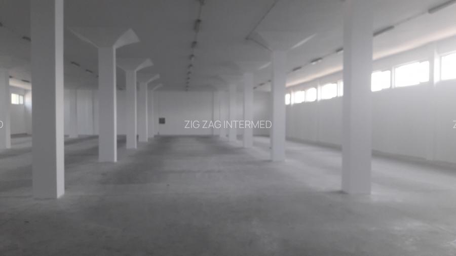 Zona Industriala - spatii versatile 500 - 1.000 mp., locuri parcare - 6