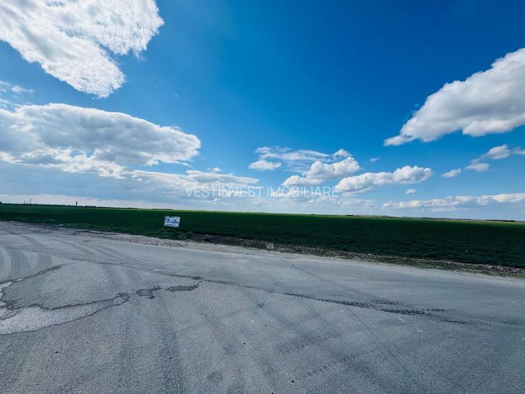 Teren extravilan 17700mp Biharia - 3