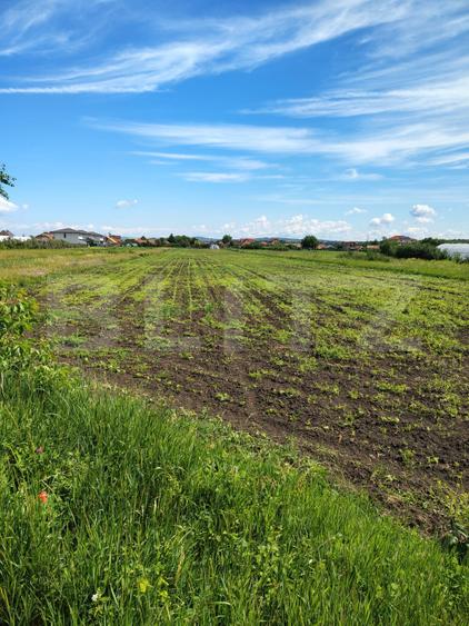 Teren Intravilan de vanzare, 4300 mp, zona plata, in Jucu de Mijloc