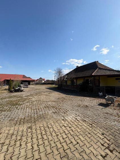 Oportunitate Investitie Ocna Sugatag - 3