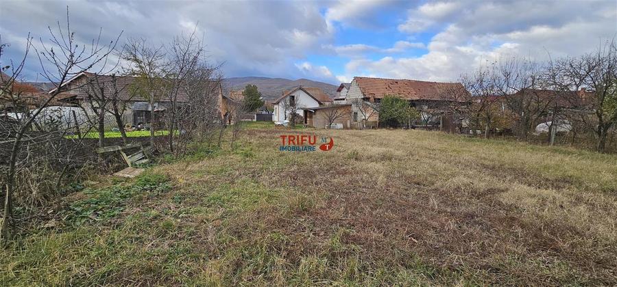 Casa de inchiriat in Micesti