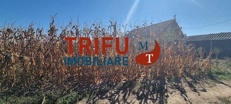 Teren intravilan 2464 mp de vanzare pe soseaua de centura