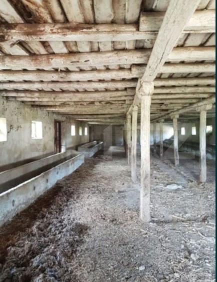 Hală zootehnică 651 mp pe teren 1.193 mp, Banpotoc – acces asfalt