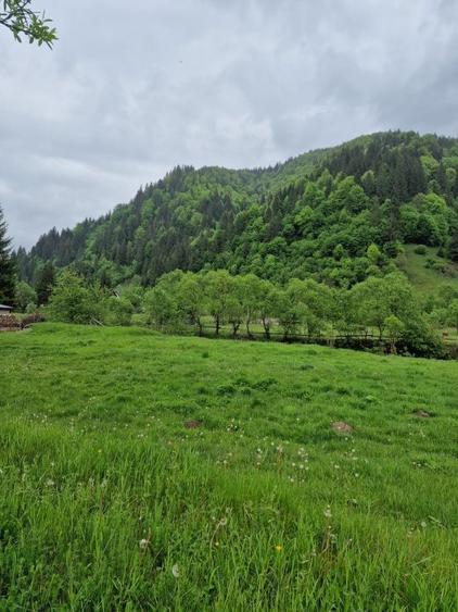 Teren intravilan - Rucar - Satic - 1775 mp - la strada principala - deschidere