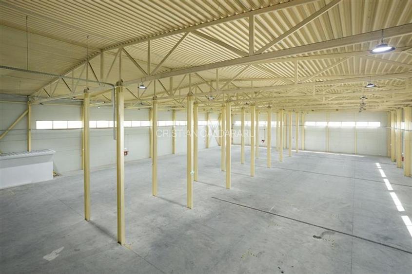 Inchiriere depozit/hala/spatiu industrial Otopeni - Centura - 7