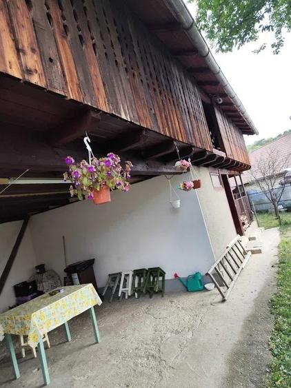 Casă cu teren 1.500 mp în Lunca Mare, com. Șotrile – 78.000 € (negociabil)