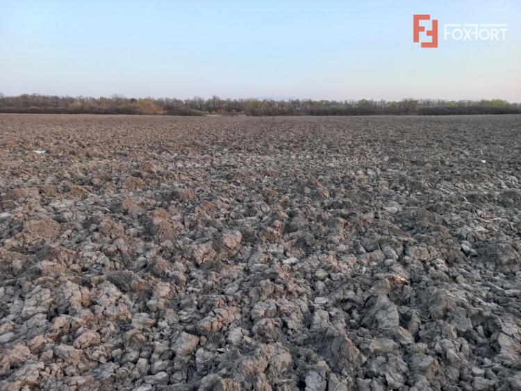 Oportunitate dezvoltare rezidentiala| 4.816 mp | Ghiroda