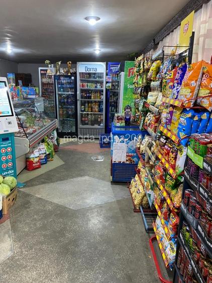 Vand casa cu livada si solar + spatiu comercial in sat Cismele (1498 mp) - 3