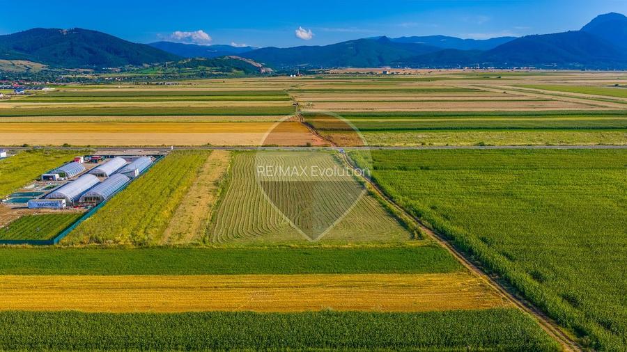 COMISION 0% | Teren intravilan 7.500 mp | Tarlungeni, Brasov - 5