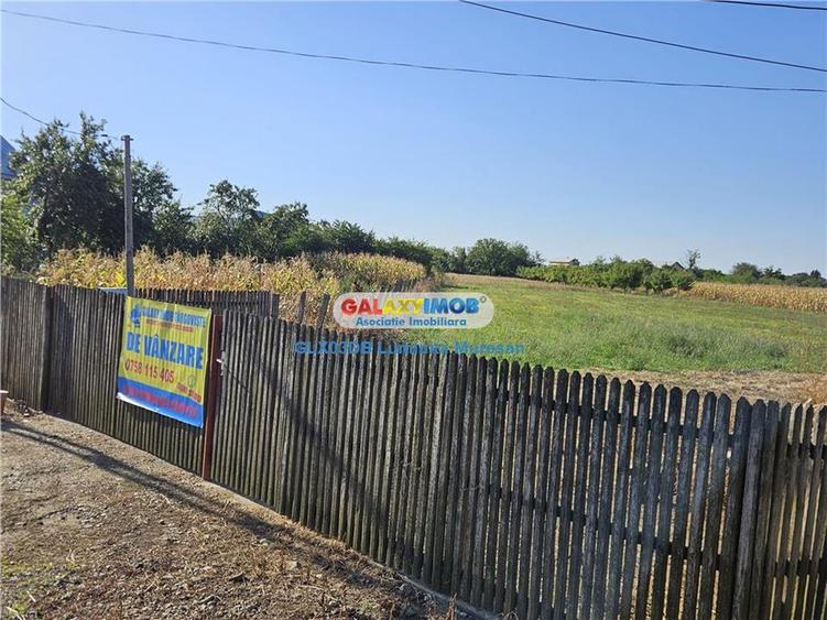 Vanzare teren intravilan Dragomiresti