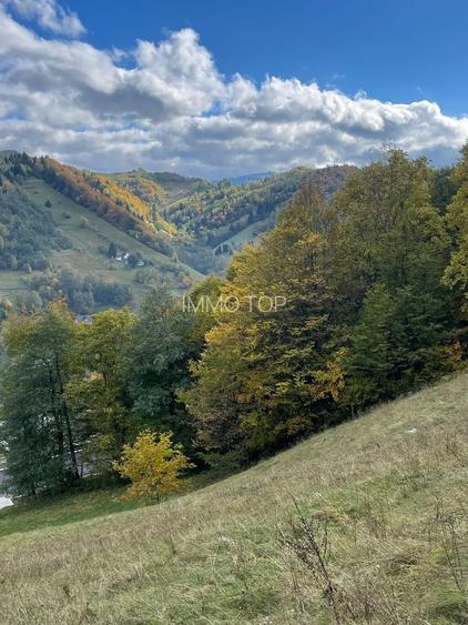 Teren extravilan cu priveliste catre Bucegi – Moieciu de Jos 4.700 mp - 2