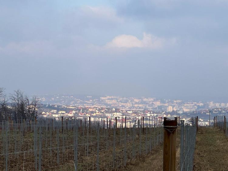 Teren intravilan, Visan