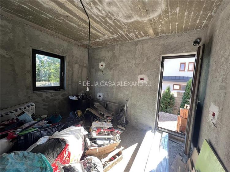 Casa la rosu, de vanzare in Lunca Cetatuii - 6