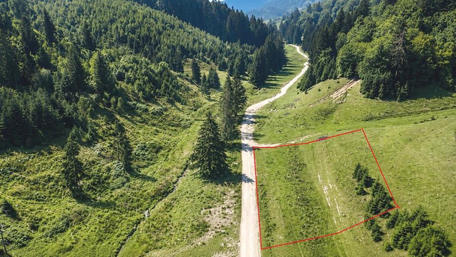 Oportunitate Investiție–Teren Intravilan 2.763 mp, Poiana Brașov Str. Stânii