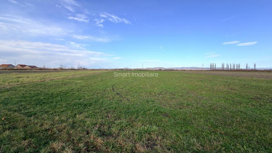 Teren Extravilan 15.000 mp Prejmer - 4