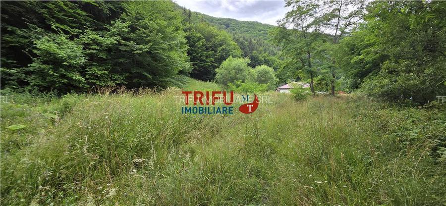 Teren ideal pentru cabană sau pensiune în Poiana Galdei - 12