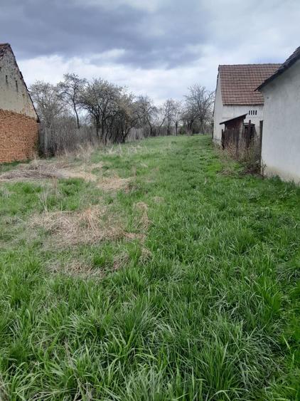 Teren de vanzare in Vaidei