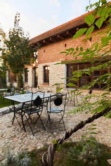 CASA THEA | INVESTIȚIE ÎN TURISM, GASTRONOMIE ȘI EXPERIENȚE | SOCOLARI