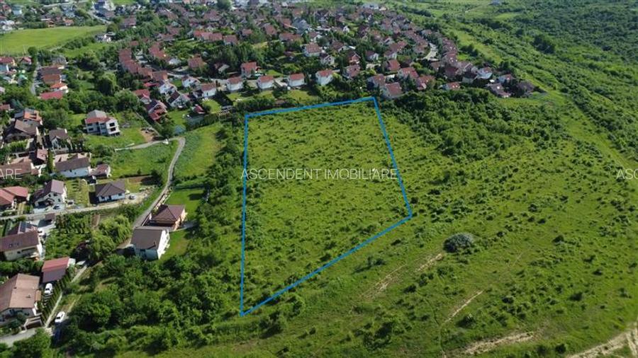 Lot premium,17.200 mp,PUG, oportunitate extinsa,10 min de Targu Mures:Livezeni - 5