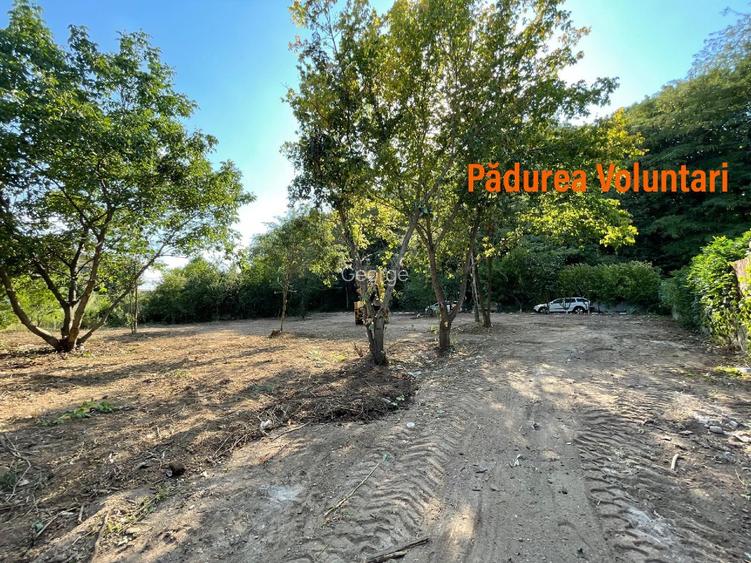 Vand teren la pădure,zona Matei Millo,Erou Mircea Marinescu,Voluntari - 2