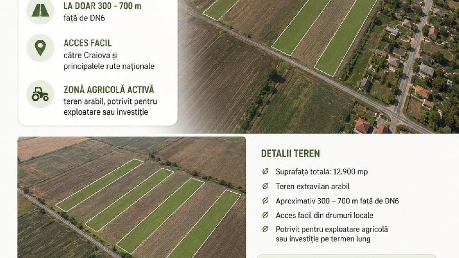 Beharca Dolj, Teren extravilan 12.900 m.p. Sat Cotofenii din Fata