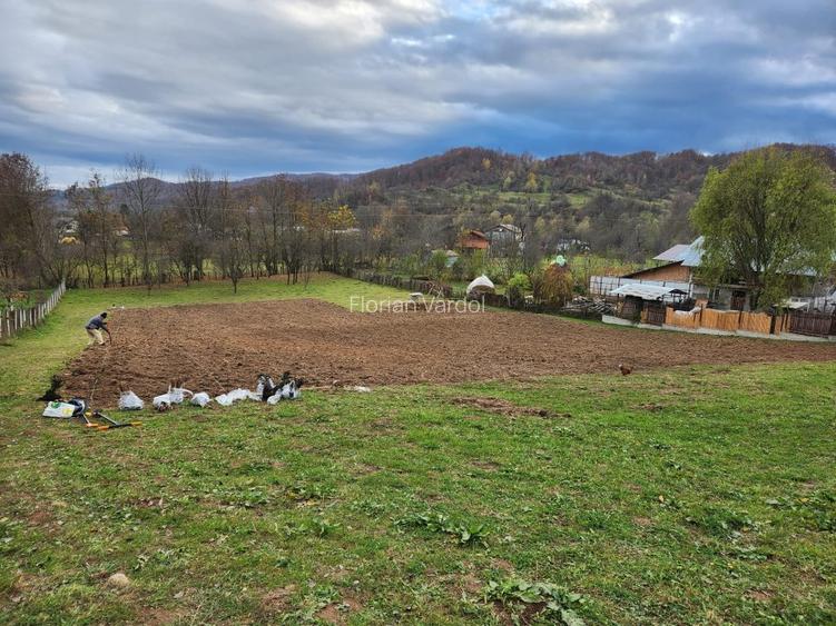 Teren vanzare in comuna Adunati - zona BREAZA - Prahova - 5