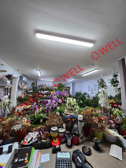 De vânzare spațiu comercial in centrul orasului Baraolt
