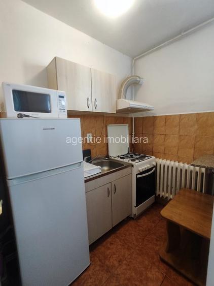 Garsoniera Tatarasi - Flora fix in statie , poze reale , CENTRALA PROPRIE  - 6