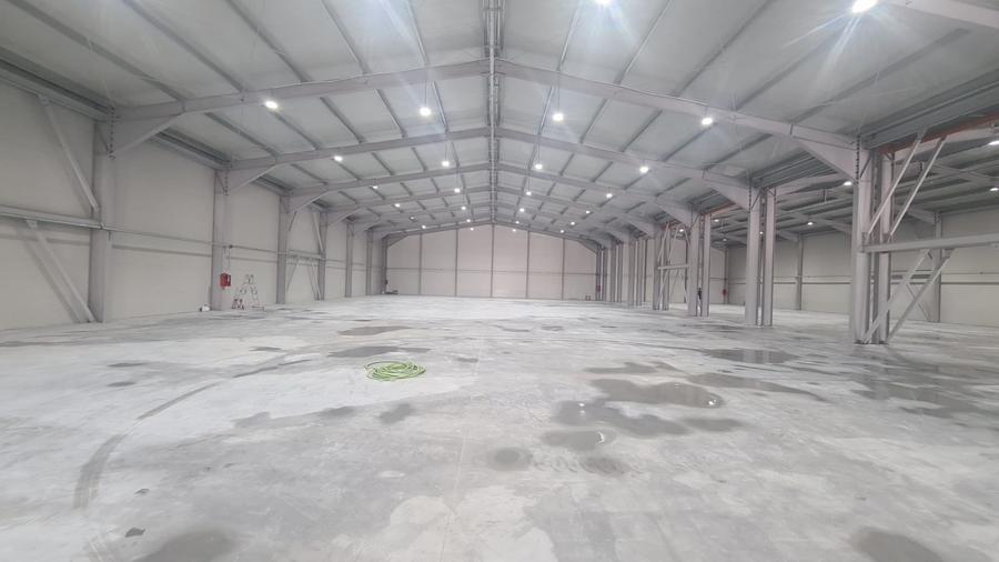 Balotesti - Hale Depozit - 2026 - Rampa TIR - ISU - A0/A3 - 600 €/mp