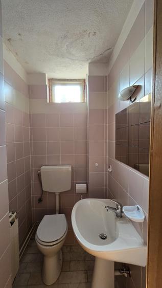 Vanzare vila P+1+M cu 5 camere, casa batraneasca , 2 garaje, teren 9249mp,