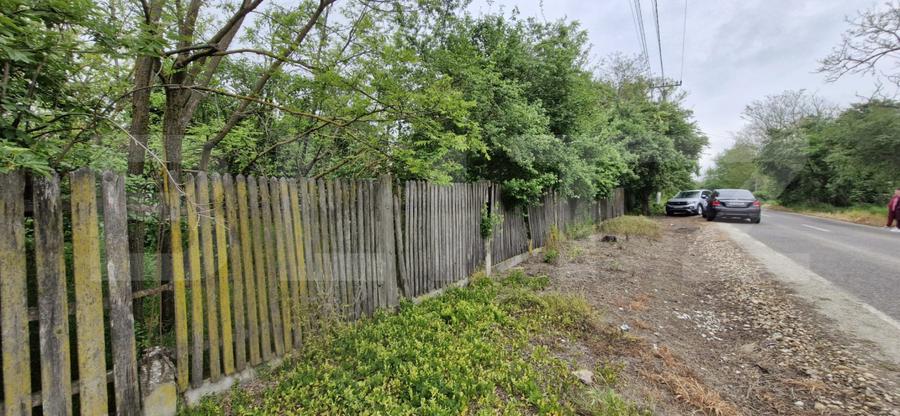 Domeniu polivalent, ideal pentru 2 familii / afacere, 300 mp, zona Sud