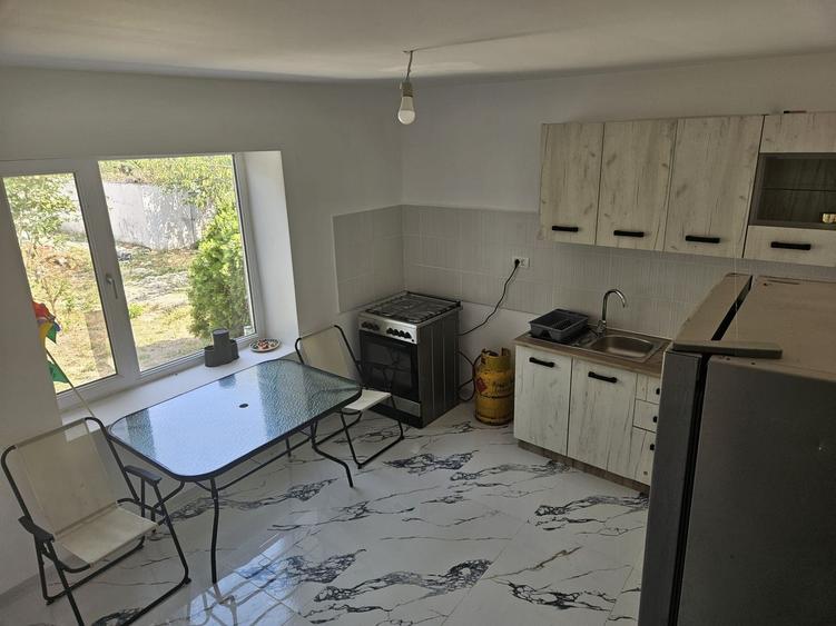 Casa Beregsaul mic+teren 1550 mp