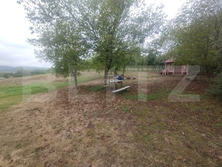 Teren 50 Ari cu Cabană, Utilități și Livadă – Oază de liniște! Beclean - 3
