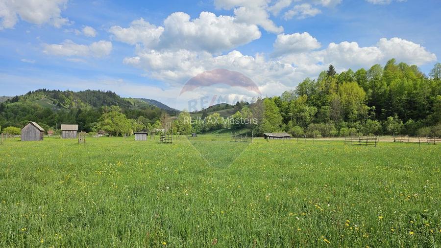 Teren intravilan 9,010mp Campulung Moldovenesc / Calea Bucovinei, SV - 11
