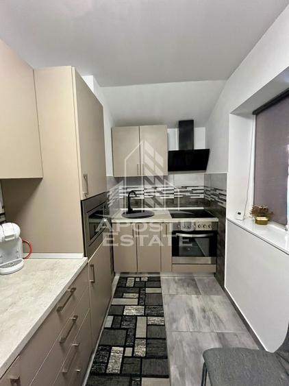 Doua apartamente de vanzare la curte comuna,zona Traian, Timisoara
